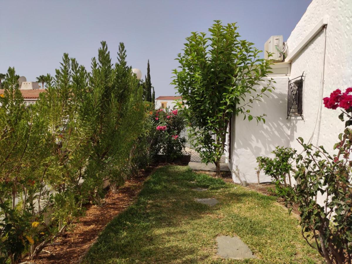 Lovely 2 Bedroom Bungalow With Parking Maspalomas  Exteriör bild